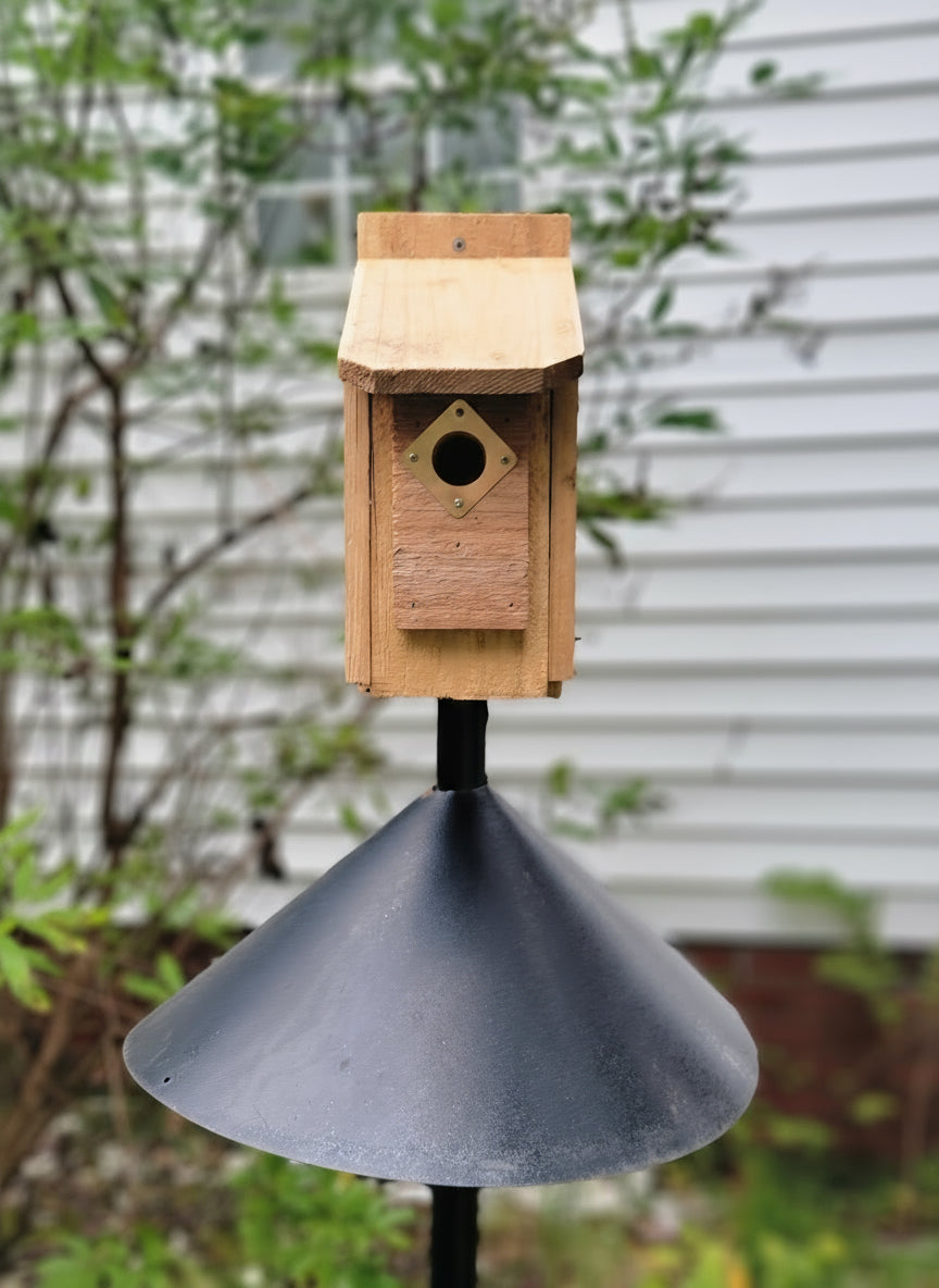 Cedar Nuthatch House