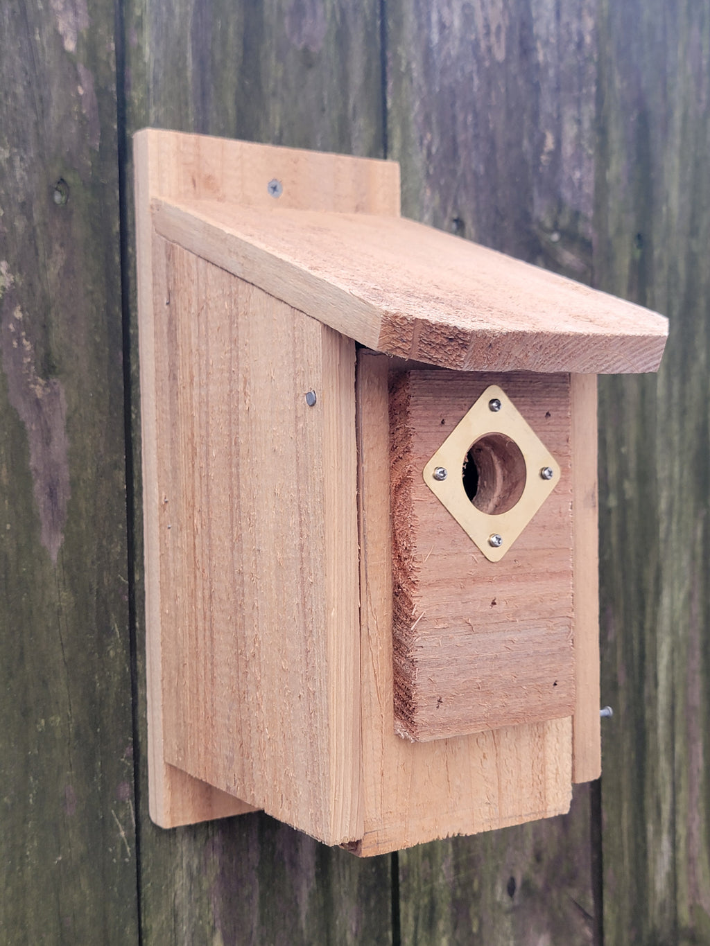Cedar Nuthatch House