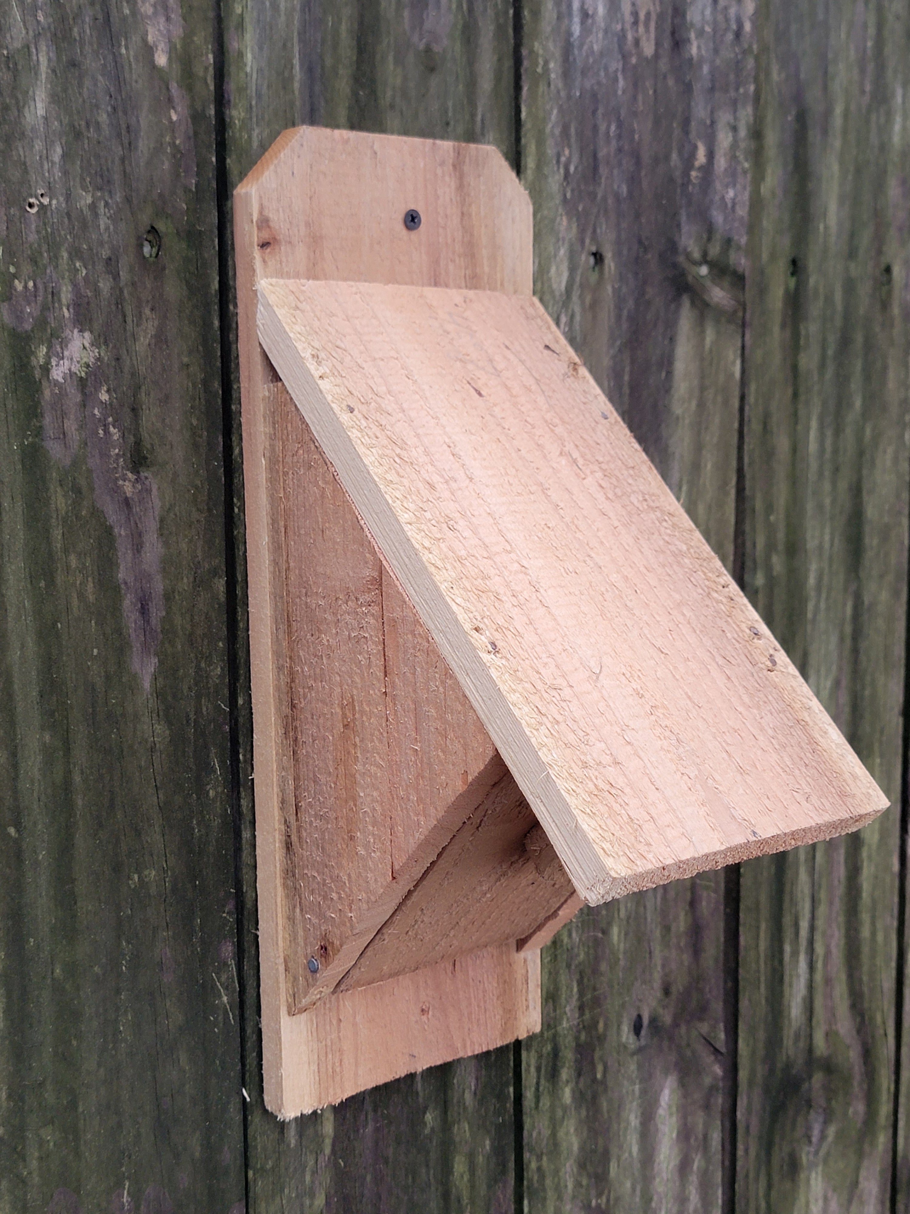 Cedar Chickadee box