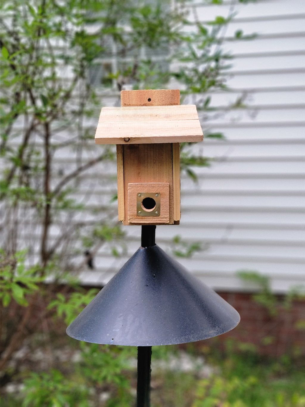 Cedar roosting box